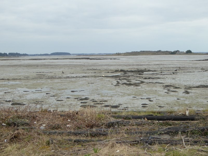 Découverte milieu marin