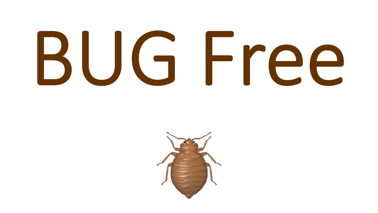(c) Bug-free.ch