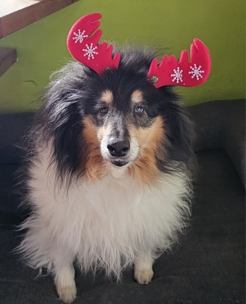 13 Jahre alt