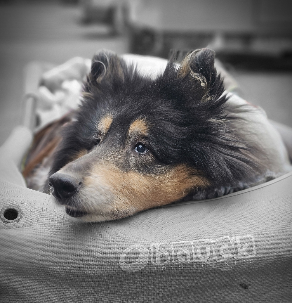 13 Jahre 