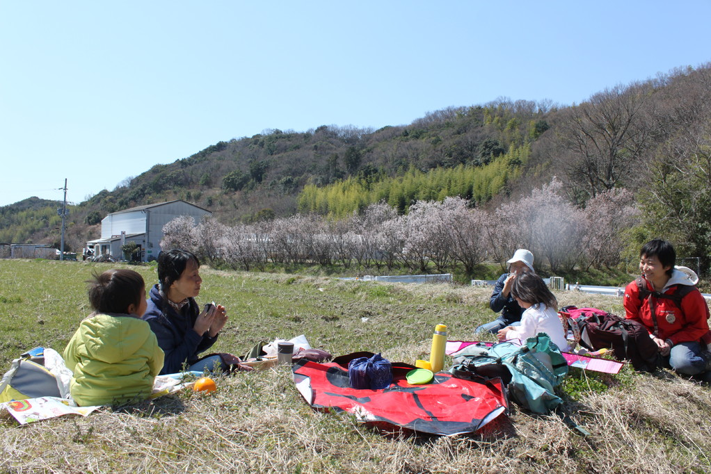 うららかな陽気の下で