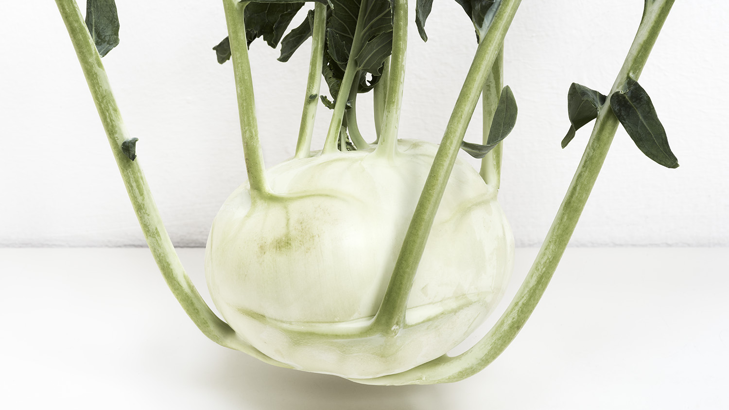 Kohlrabi