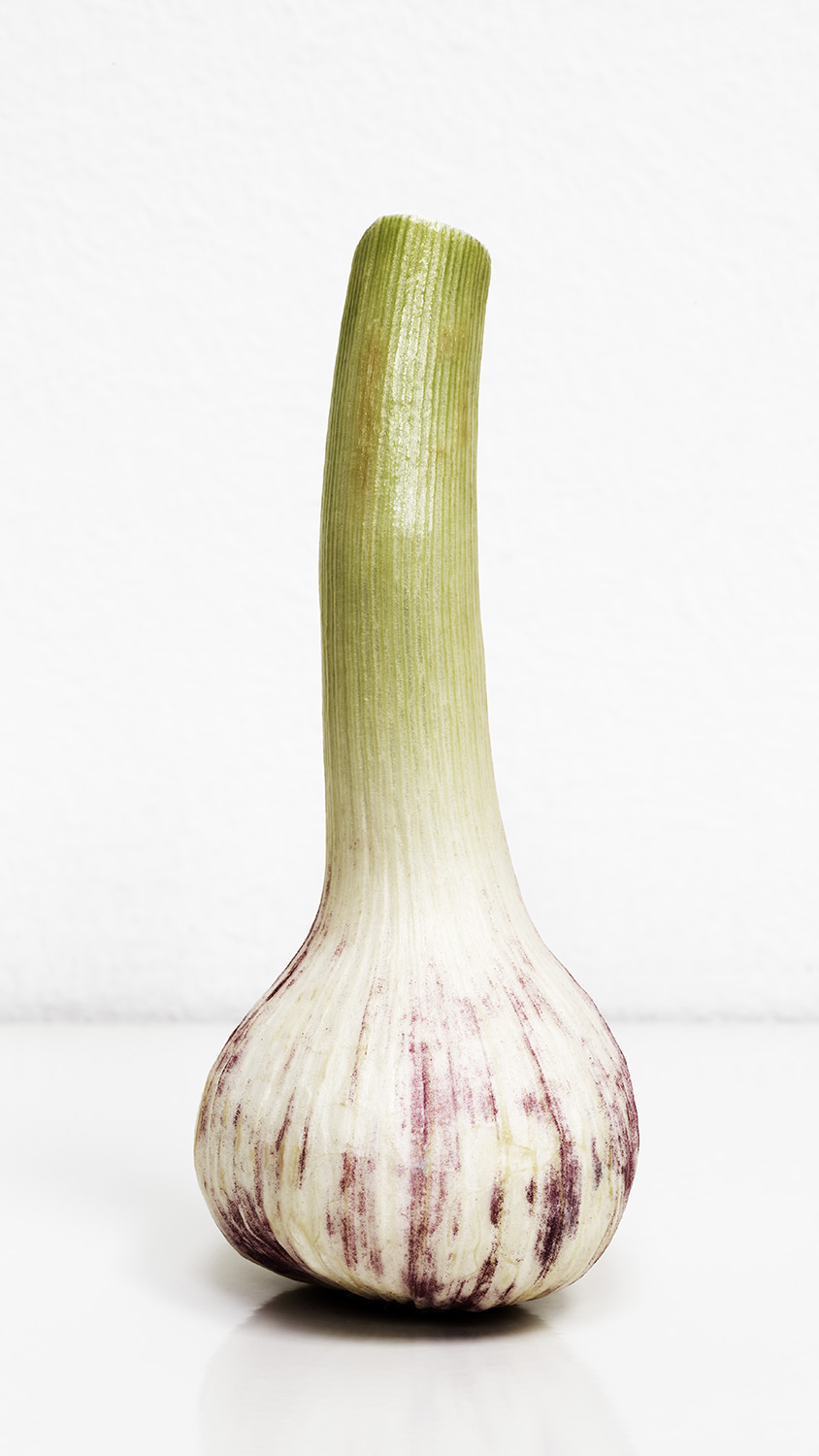 Knoblauch
