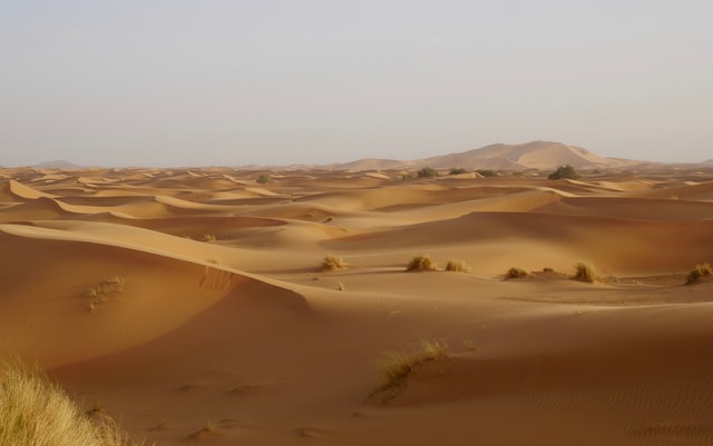 Le désert est un milieu hostile la Bible relate quelques récits dans le désert