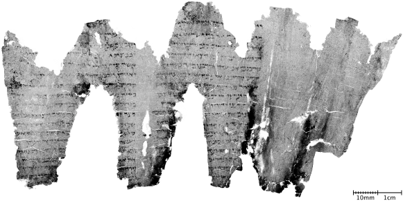 Le rouleau carbonisé d'En-Gedi contient un texte de 35 lignes correspondant au passage biblique des 2 premiers chapitres du Lévitique.