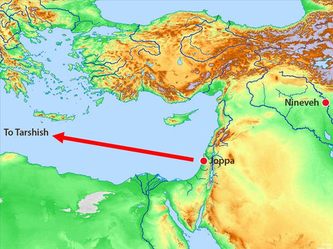 Jéhovah a confié à Jonas la mission d’aller avertir les habitants de la grande ville païenne de Ninive que leur destruction est proche. Au lieu d’obéir à Dieu, Jonas se rend à Jaffa et prend un bateau en partance pour Tarsis. 