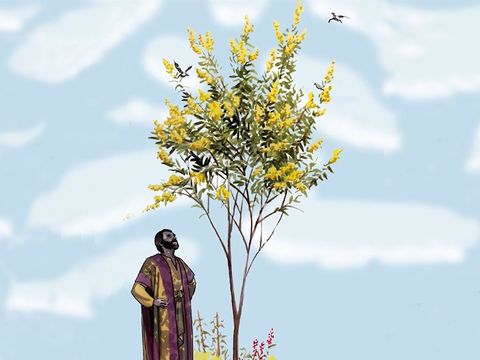 C’est à ses fruits que l’on reconnaît un bon arbre ; c’est à leurs fruits que l’on reconnaîtra les vrais chrétiens. Pour entrer dans le royaume des cieux, il ne suffit pas de me dire: « Seigneur ! Seigneur ! » Il faut accomplir la volonté de Dieu !