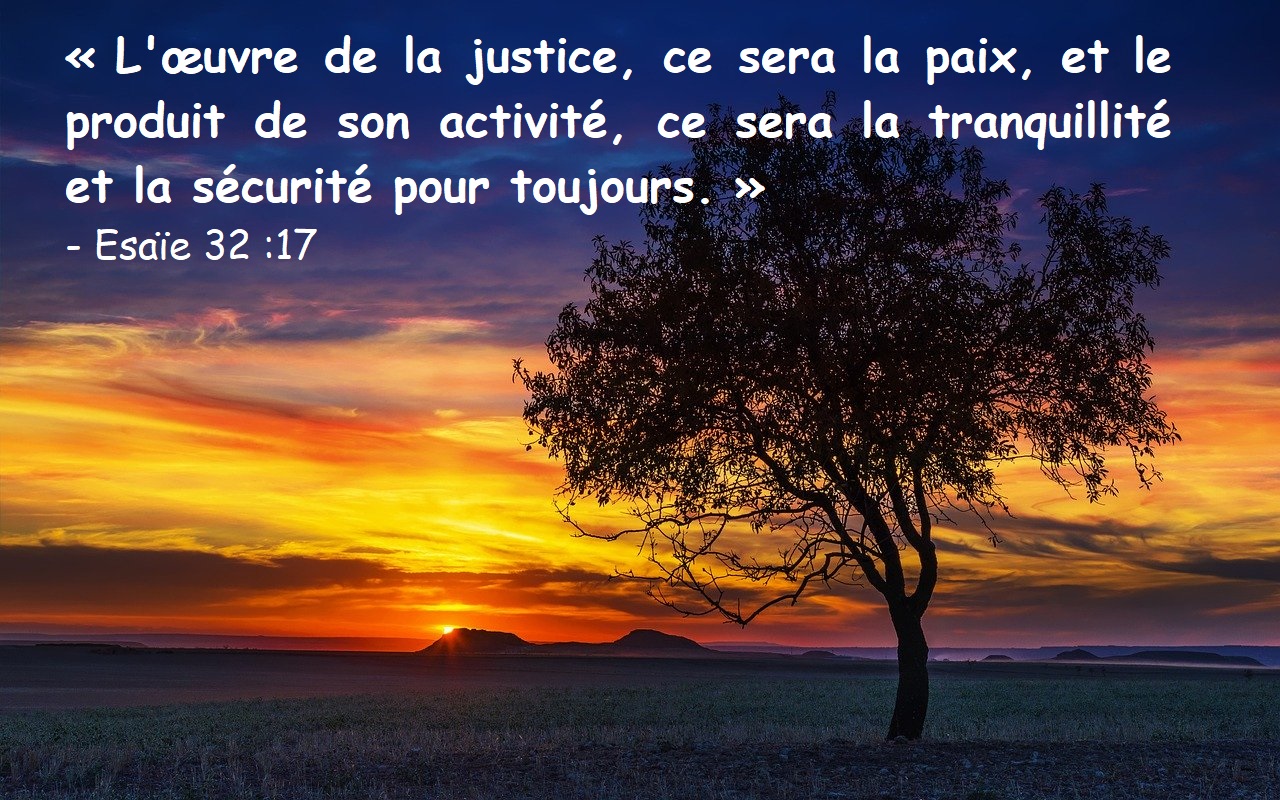 Apocalypse 21 5 Je fais toutes choses nouvelles Le livre de l