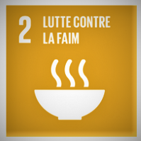 Les 17 ODD = objectifs de développement durable de l'ONU qui prétend pouvoir résoudre tous les problèmes du monde. « Remplie d'admiration, la terre entière suivit alors la bête. » Apocalypse 13 : 3 La lutte contre la faim.