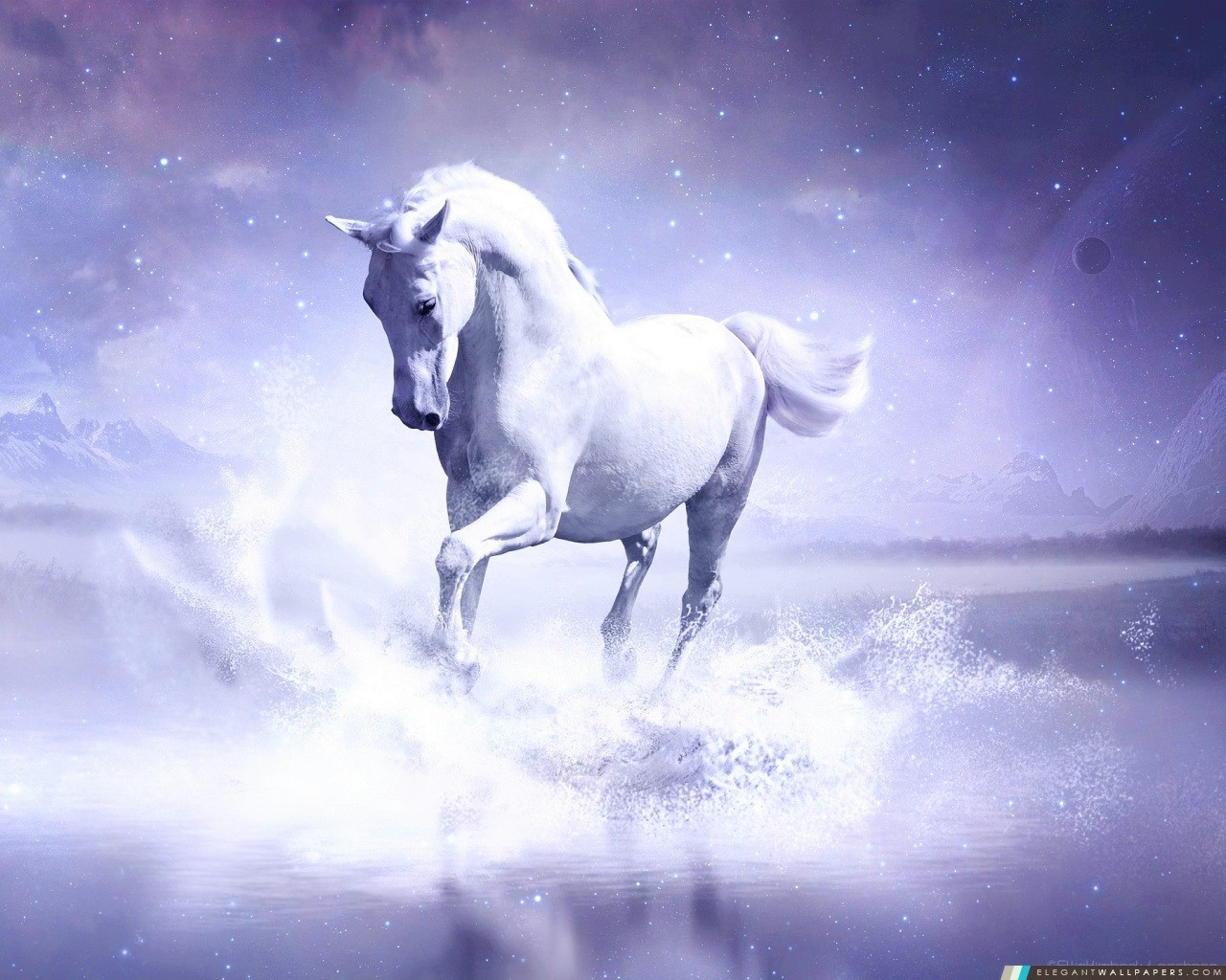 Dans la Bible, le cheval est souvent associé à la guerre, au combat.