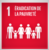 L’ONU regroupant 193 des 197 pays, représentée par la bête à 7 têtes qui a été blessée (SDN) et qui a repris vie (ONU) dans le livre de l'Apocalypse, poursuit les objectifs les plus élevés et les plus nobles qui soient. L'éradication de la pauvreté.