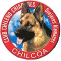 Escudo del Chilcoa.