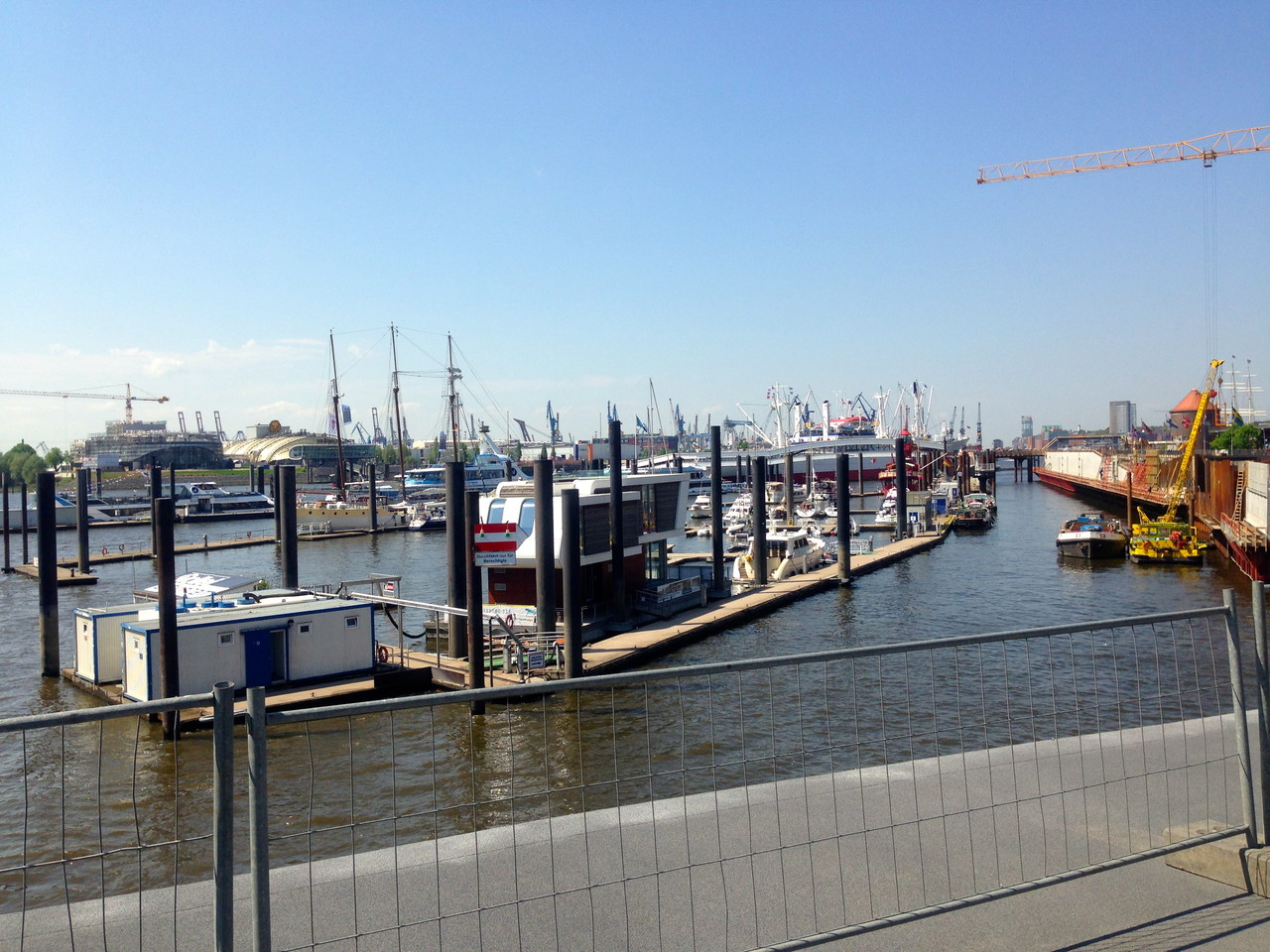 The harbor