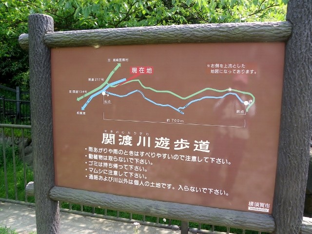 関渡川遊歩道の看板
