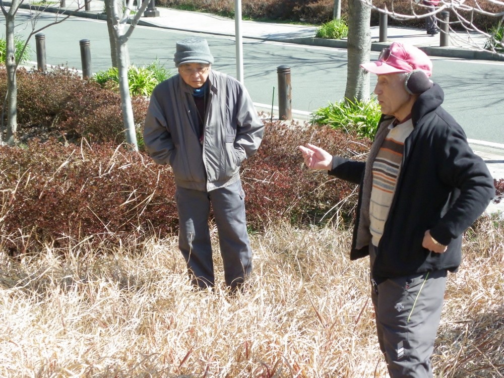 作業場近くの原っぱで打合せ