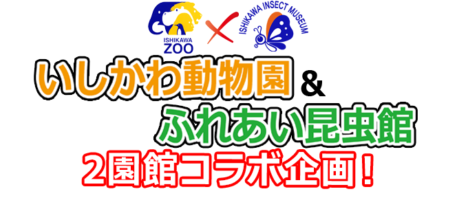 ishizoo-furekon ページ!