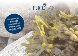 Fucus-Feld mit Temperatur- und Lichtlogger