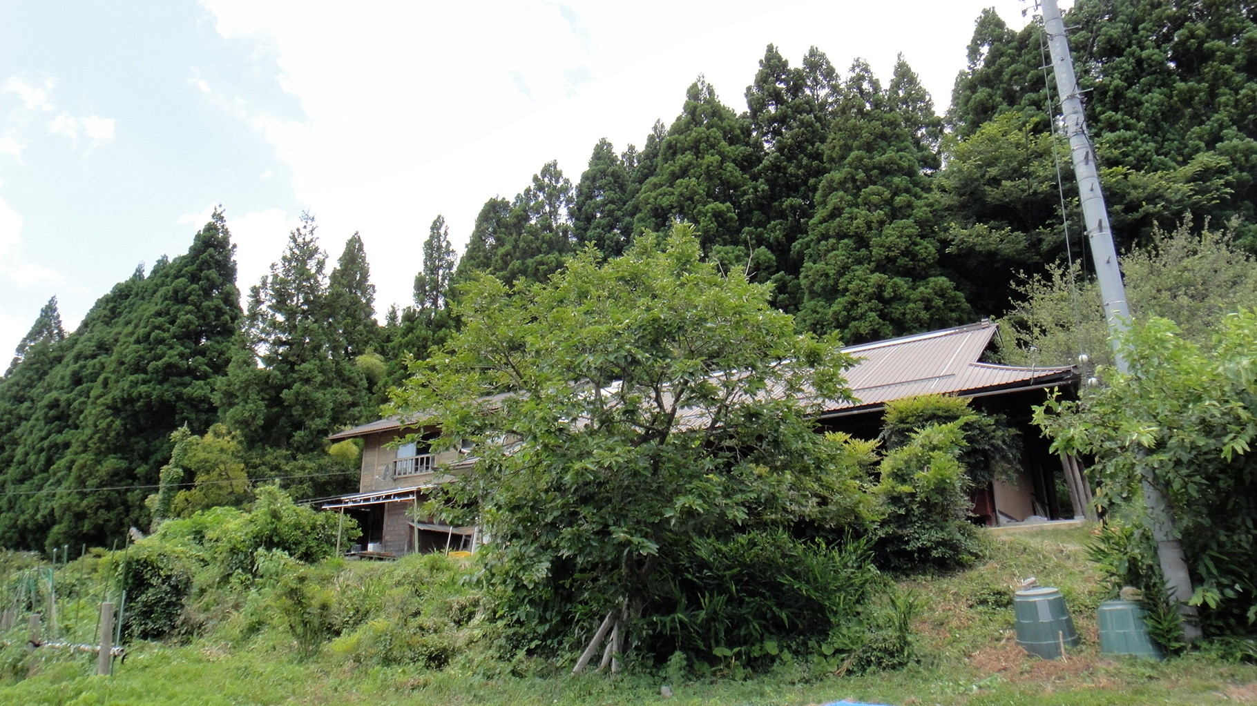京都 美山の野草工房 美し山の草木舎