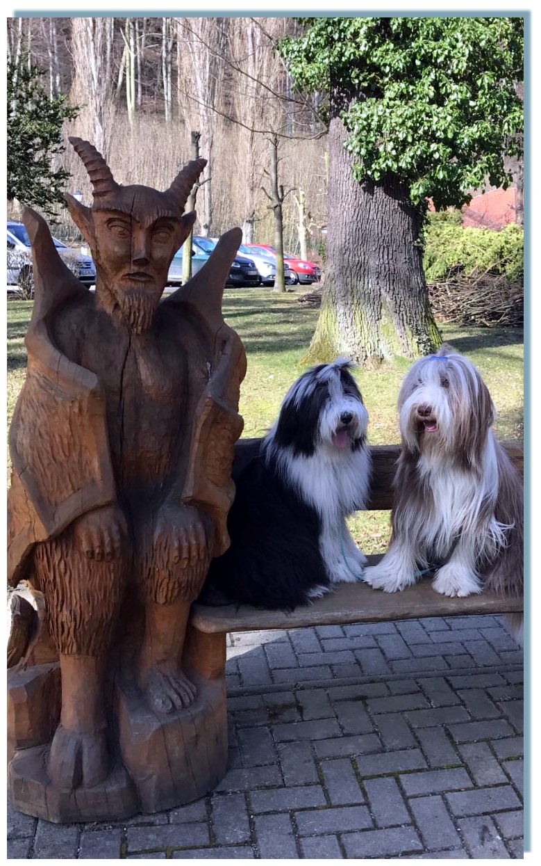  Merle und Frieda sind kleine Globetrotterinnen und haben schon viel gesehen,  Das Meer, die Alpen und die Hexen im Harz, apropos Hexen 