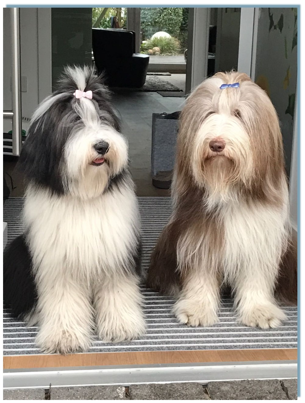 Merle und Frieda können nicht nur schön, sie haben auch eine dunkle Seite ...