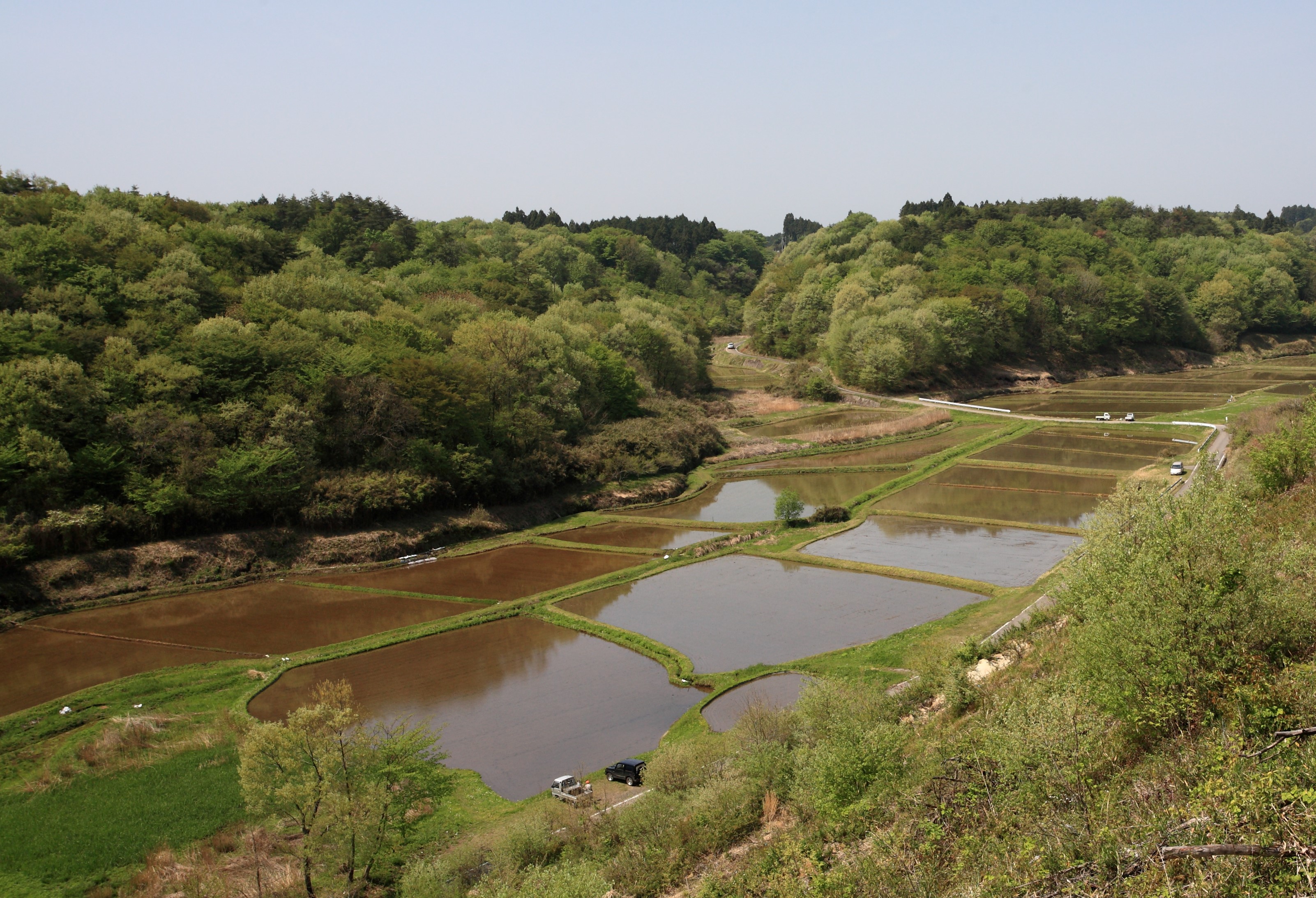 初夏の谷津田を歩こう