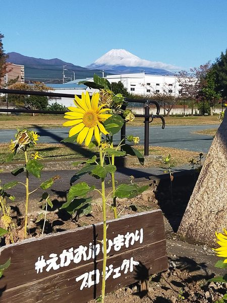 2022年の振り返り③
