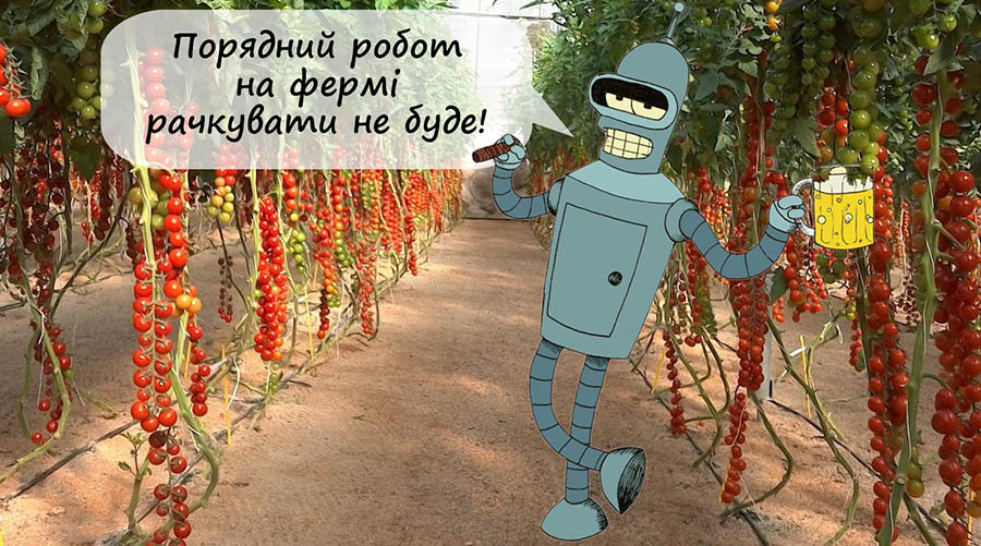 Virgo-1. Робот для збирання врожаю помідорів. І не тільки.