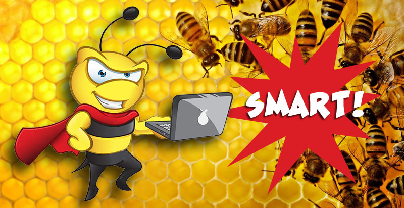 Smart - пасіка, smart - вулики, smart - мед