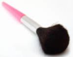 brush