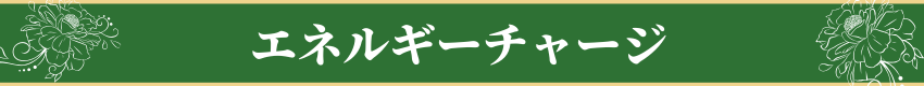 エネルギーチャージ・Energy Charging