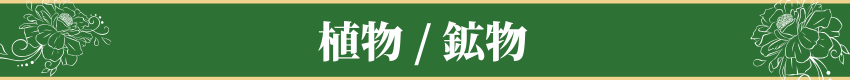 植物 / 鉱物・Plants / Minerals