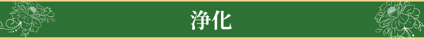 浄化・Purification