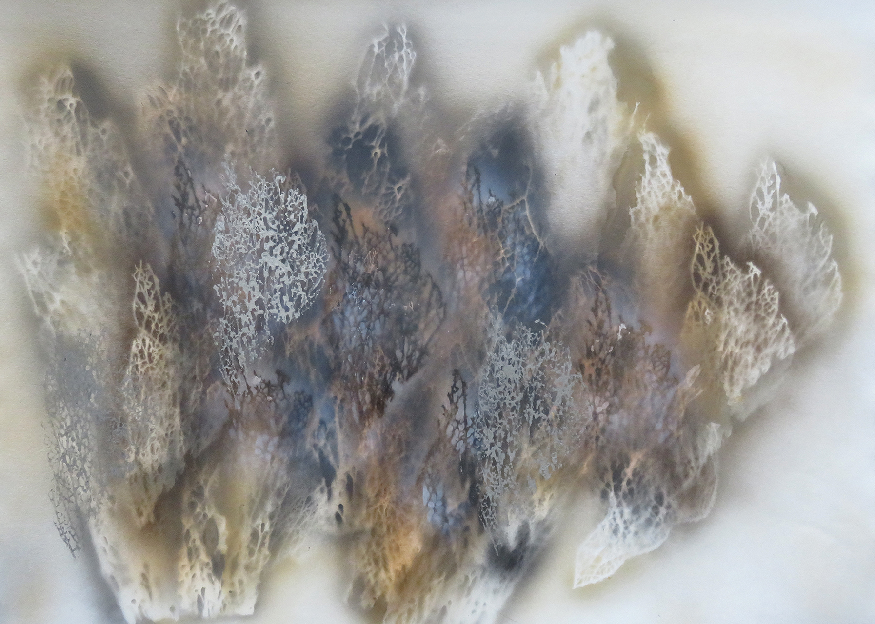 | La Palma Kaktus 1-4 | 45,5 x 62,5 cm |
