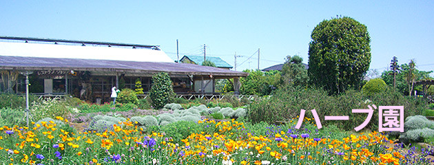 九十九里ハーブガーデン　ハーブ園