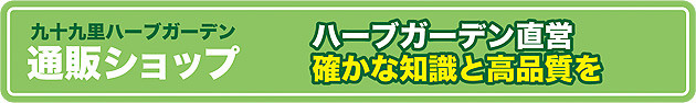 九十九里ハーブガーデン　通販ショップ　　ハーブガーデン直営　確かな知識と高品質を