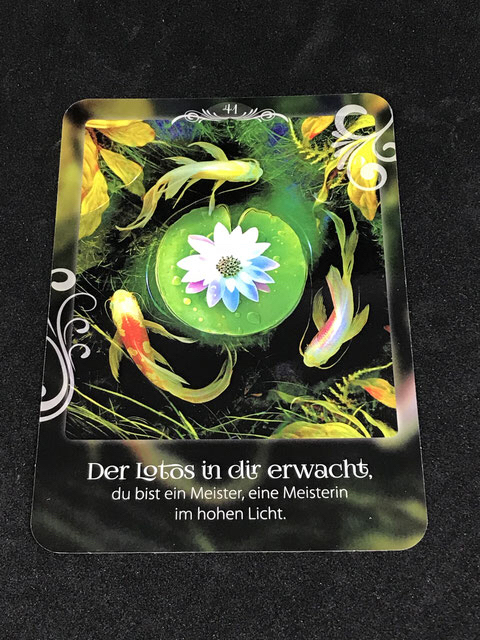 Seelenreich bei Phönixzauber im Onlineshop