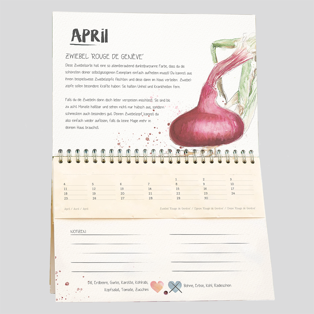 Der wachsende Kalender - Tausendsassa Zeitlos - WALDRAUSCH Magazin