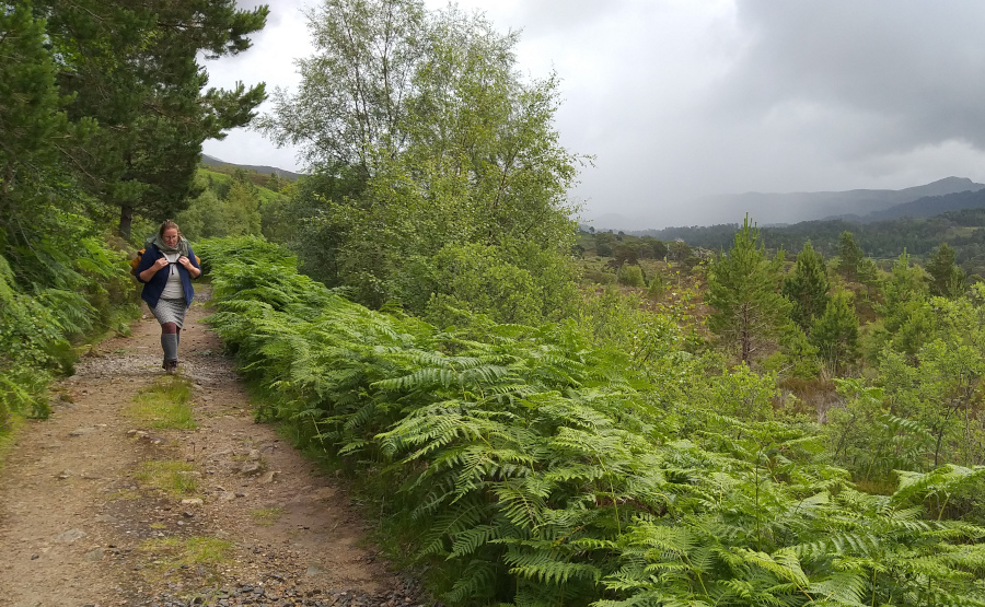 "Glen Affric Loop". 