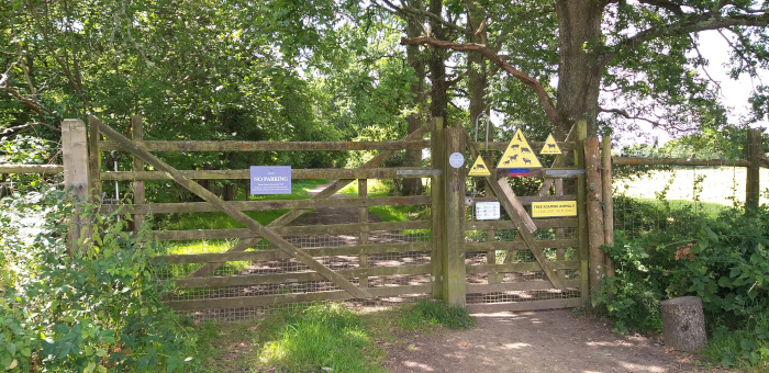 Knepp Estate in Sussex (Rewilding-Projekt), c Amanda Hasenfusz