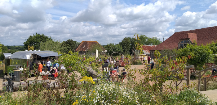 Knepp Estate in Sussex (Rewilding-Projekt), c Amanda Hasenfusz