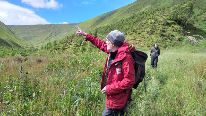 Rewilding in Schottland.