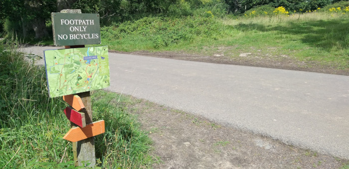 Knepp Estate in Sussex (Rewilding-Projekt), c Amanda Hasenfusz