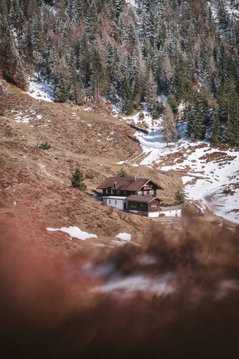 Schneerosenwanderung am Wilden Kaiser in Tirol, Rundwanderung vom Hintersteiner See zur Walleralm und Aussichtsberg Kreuzbichl | Wandern im Frühling - beste Zeit für die Schneerosen-Blüte: März |  #wilderkaiser #kitzbüheleralpen #mountainhideaways