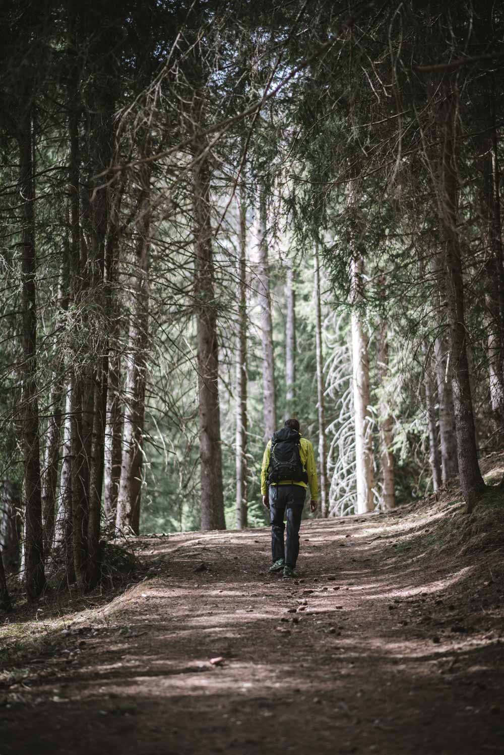 Wandertipp Tirol, Trins im Gschnitztal, ein Seitental des Wipptal: Rundwanderung zur Aussichtsplattform Adlerblick und Sarnthein Wasserfall, ein Ausflugsziel für die ganze Familie