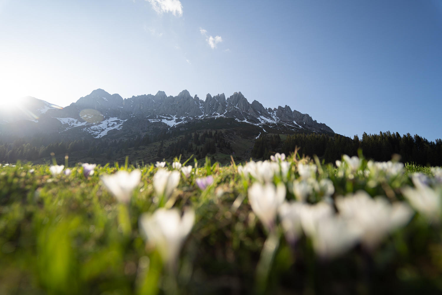 die HOCHKÖNIGIN - Wellnesshotel | Maria Alm am Steinernen Meer - Salzburgerland/Österreich ... Member of Mountain Hideaways - die schönsten Hotels in den Alpen ©Lena Sulzenbacher