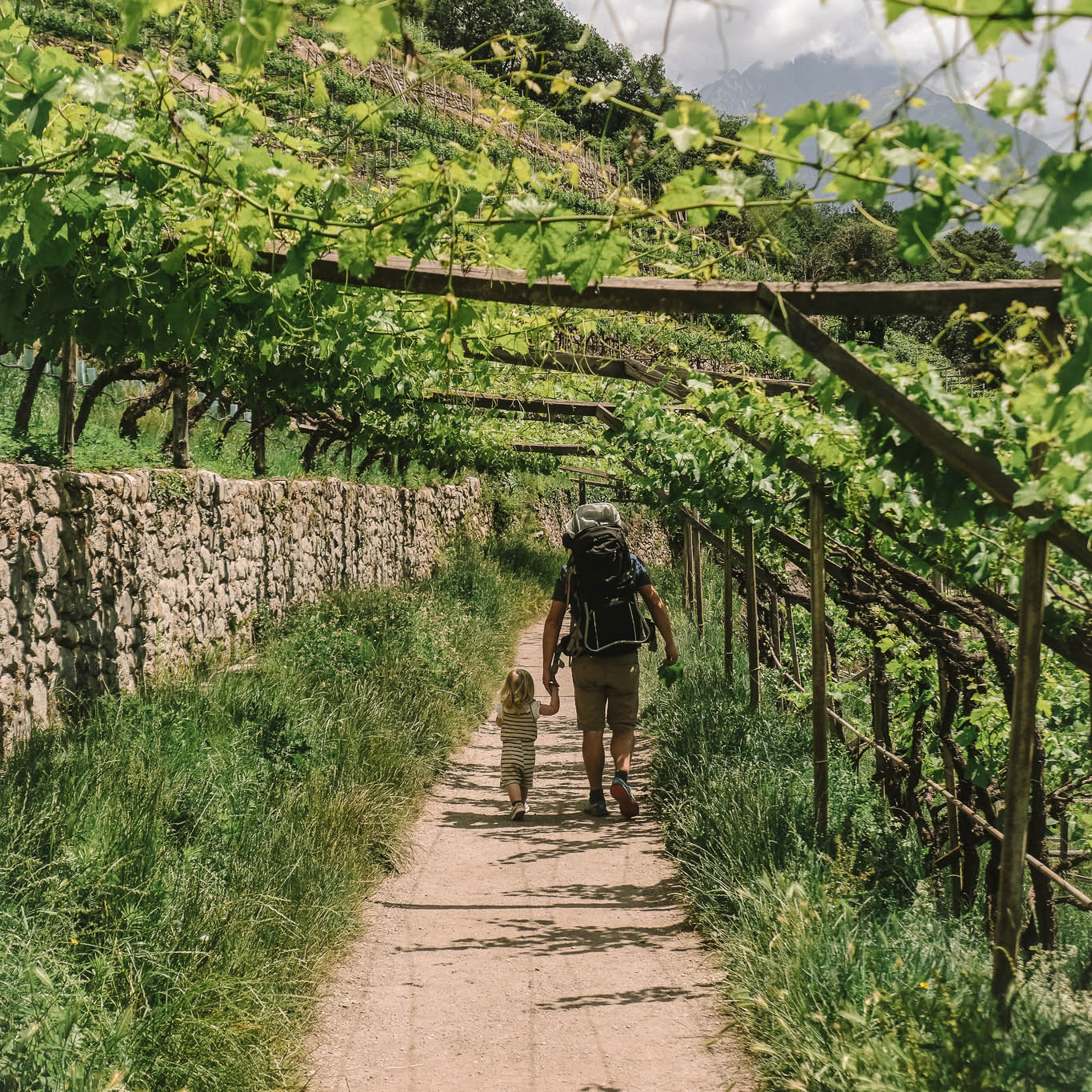 Der Algunder Waalweg zählt zu den entspanntesten Panoramawanderungen rund um Meran. Nahezu eben führt der Weg entlang historischer Wasserläufe durch Weinberge, Obstgärten und lichte Wälder – stets begleitet von herrlichen Ausblicken auf das Etschtal. Wer 