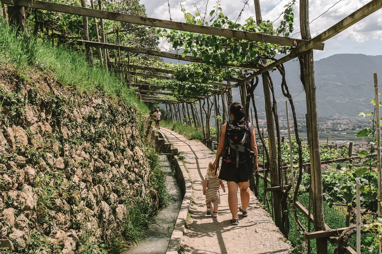 Algunder Waalweg ^ Wandertipp mit Restaurantguide | Algund bei Meran - Südtirol