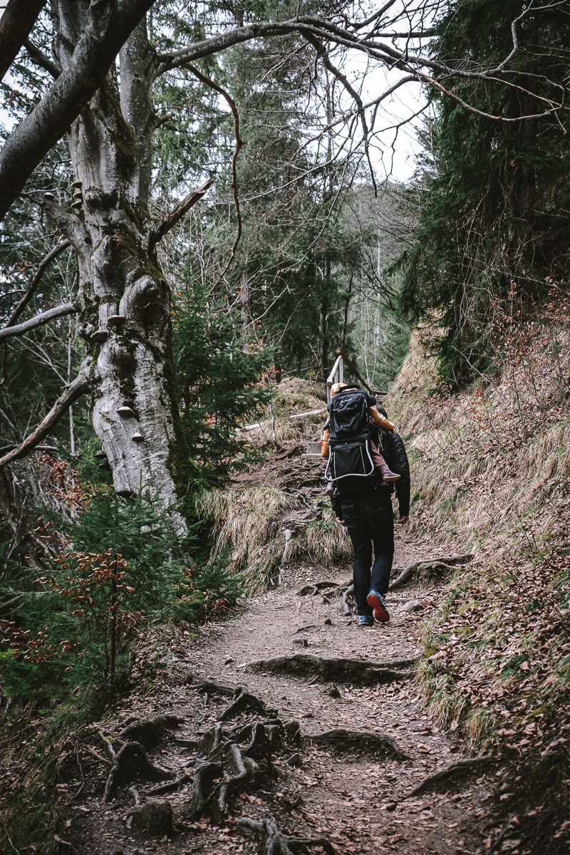 Wandertipp: Rundwanderung zum Wasserfall und Peterbauer Alm in Bayrischzell; Mountain Hideaways - die schönsten Hotels in den Alpen: DER SCHMIEDHOF, Apartments in Bayrischzell - Bayern/Deutschland ©Mela Hipp