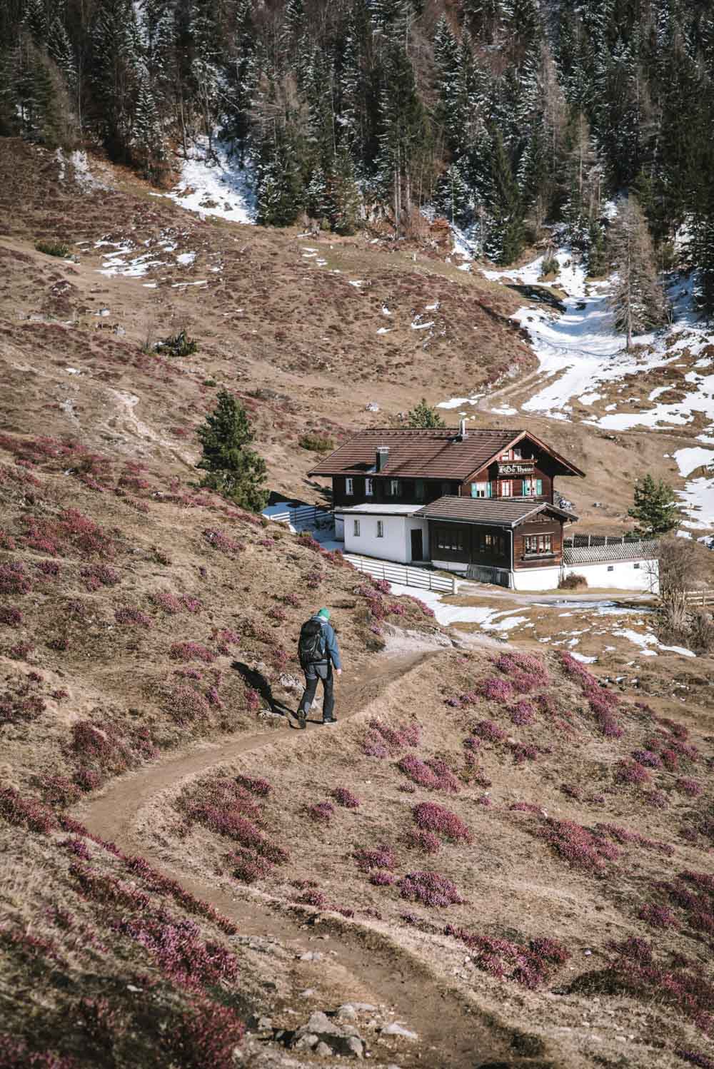 Schneerosenwanderung am Wilden Kaiser in Tirol, Rundwanderung vom Hintersteiner See zur Walleralm und Aussichtsberg Kreuzbichl | Wandern im Frühling - beste Zeit für die Schneerosen-Blüte: März | #wilderkaiser #kitzbüheleralpen #mountainhideaways