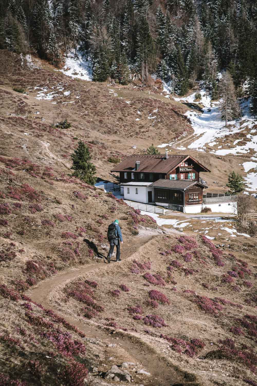 Schneerosenwanderung am Wilden Kaiser in Tirol, Rundwanderung vom Hintersteiner See zur Walleralm und Aussichtsberg Kreuzbichl | Wandern im Frühling - beste Zeit für die Schneerosen-Blüte: März |  #wilderkaiser #kitzbüheleralpen #mountainhideaways